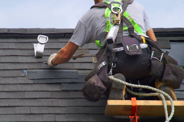 Best Roof Maintenance Services  in Reading, MI