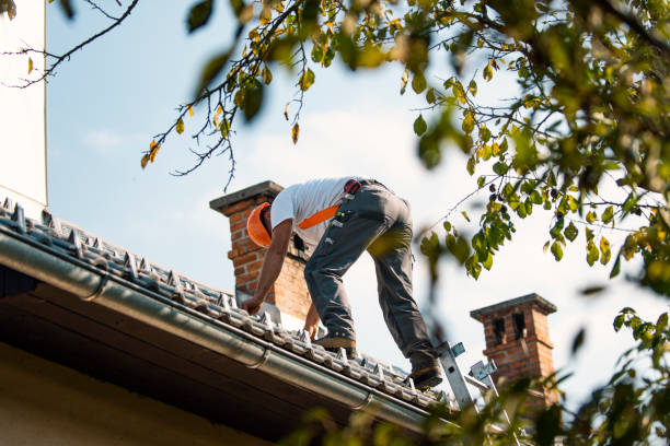 Best Storm Damage Roof Repair  in Reading, MI